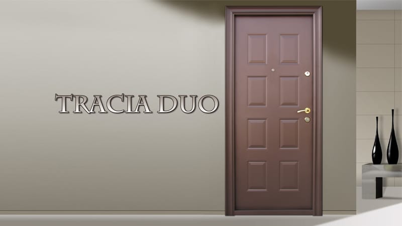 Usa metalica exterior Tracia Duo - Usa metalica exterior Brasov